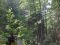 20150714_122205