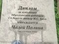 WP_20150330_007
